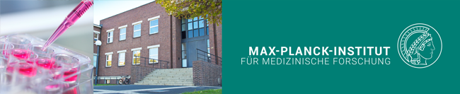 Headerbild Max-Planck-Institut für medizinische Forschung